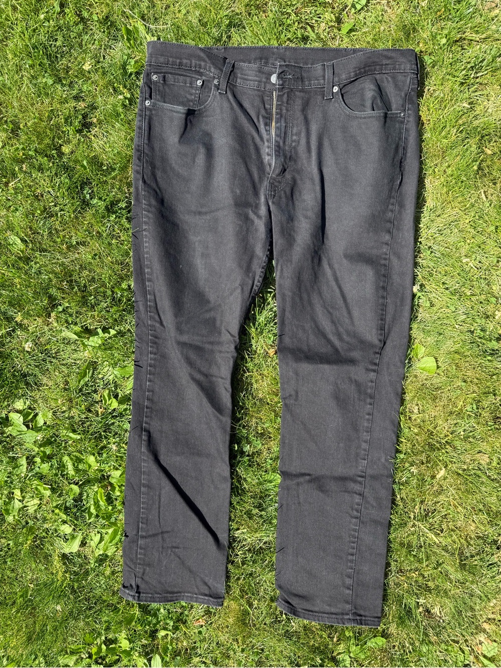 Multiple Levi's Straight Men's Jeans
